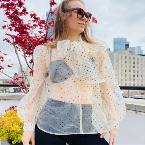 COPY - Transparent Polka Dot Puff Sleeve Shirt Bishop Statement Sleeves Neck Bow - Picture 2 of 16